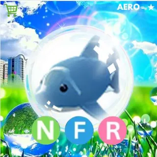 NFR Shark