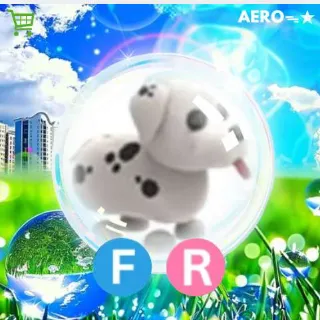 FR Dalmatian