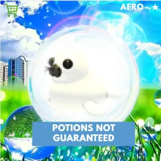 Harp Seal