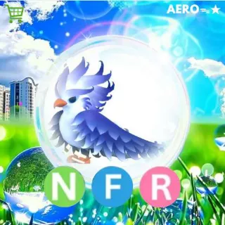 NFR Frost Phoenix