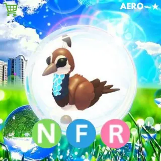 NFR Peahen
