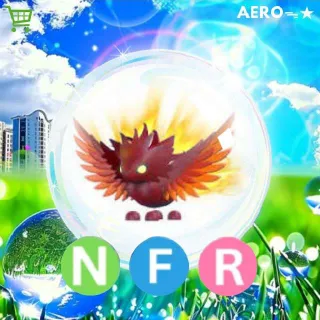 NFR Solaris