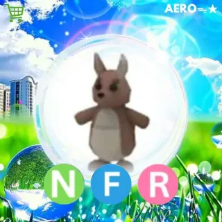 NFR Kangaroo