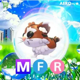MFR Munchkin Cat