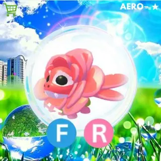 FR Rose Dragon