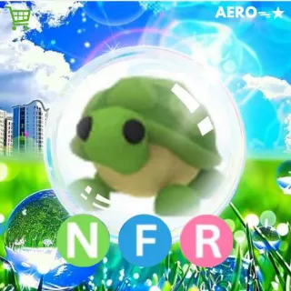 NFR Turtle