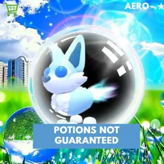 Aurora Fox