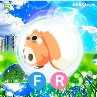 FR Cabbit
