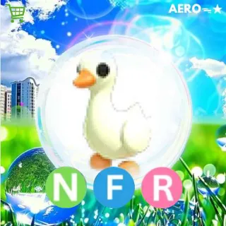 NFR Goose