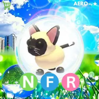 NFR Siamese