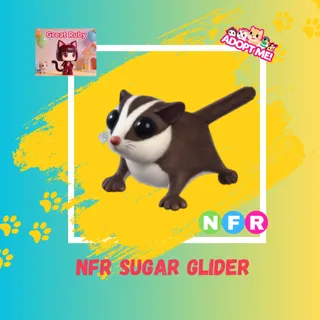 NFR SUGAR GLIDER