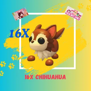 16X CHIHUAHUA