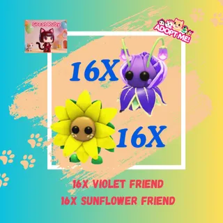 16X VIOLET FRIEND + 16X SUNFLOWER FRIEND