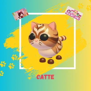 CATTE