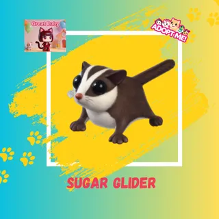 SUGAR GLIDER