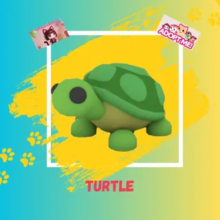 TURTLE