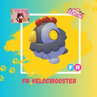 FR VELOCIROOSTER