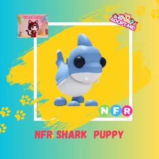 NFR SHARK PUPPY