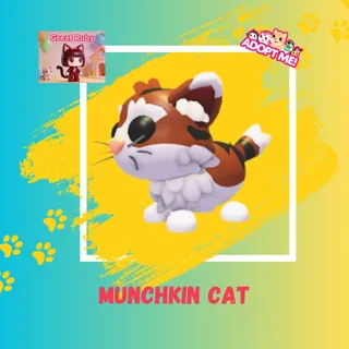 MUNCHKIN CAT