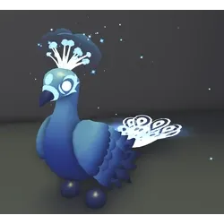 MOONBEAM PEACOCK