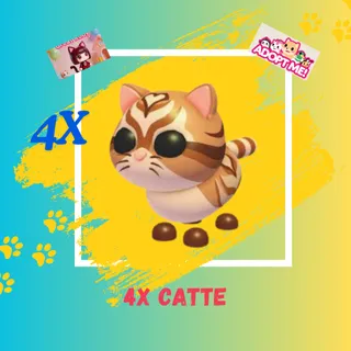4X CATTE