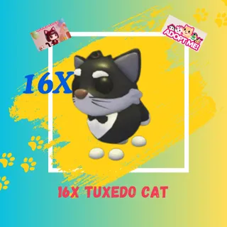 16X TUXEDO CAT