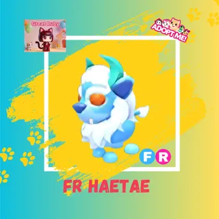 FR HAETAE