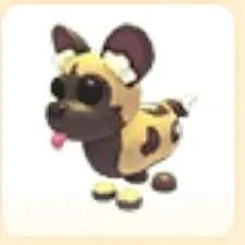 AFRICAN WILD DOG