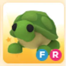 FR TURTLE