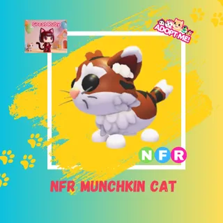 NFR MUNCHKIN CAT