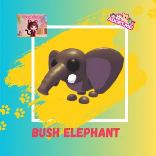 ELEPHANT BUSH