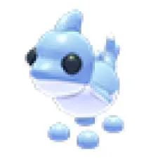SHARK PUPPY