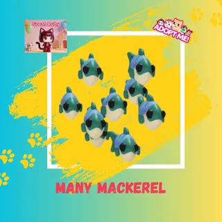 MANY MACKEREL