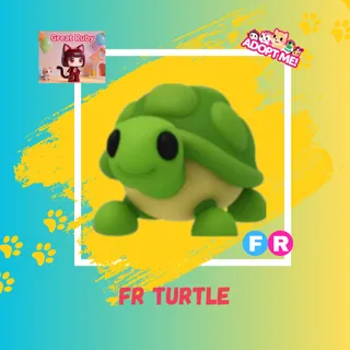 FR TURTLE