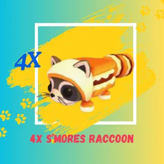 4X S'MORES RACCOON