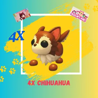 4X CHIHUAHUA