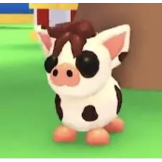 MINI PIG