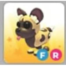 FR AFRICAN WILD DOG