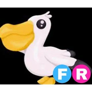 FR PELICAN