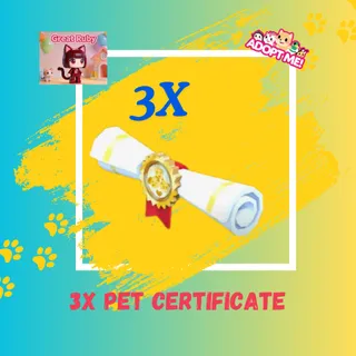 3X PET CERTIFICATE