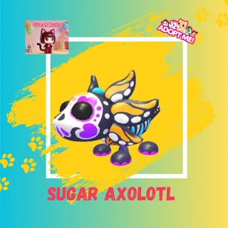 SUGAR AXOLOTL