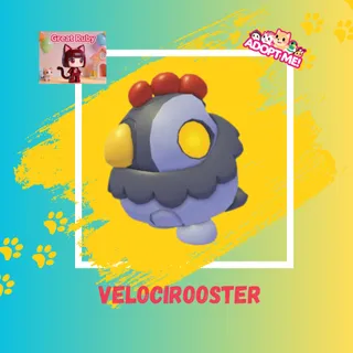 VELOCIROOSTER