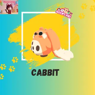 CABBIT