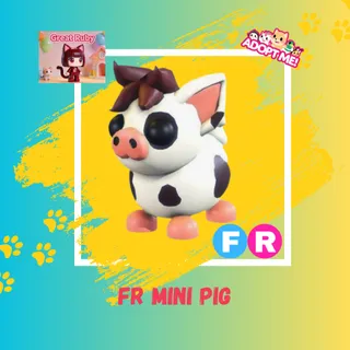 FR MINI PIG