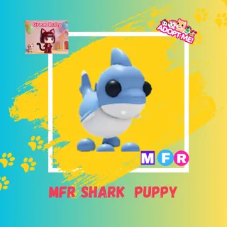 MFR SHARK PUPPY
