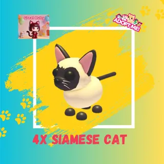 4X SIAMESE CAT