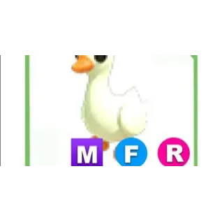 MFR GOOSE