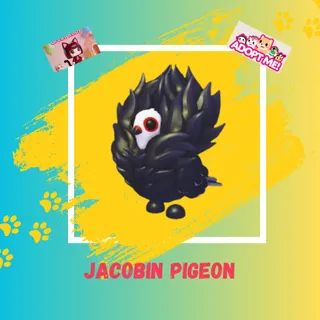 JACOBIN PIGEON