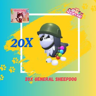 20X GENERAL SHEEPDOG