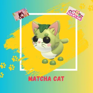 MATCHA CAT